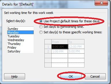default-time-in-project 2010.jpg