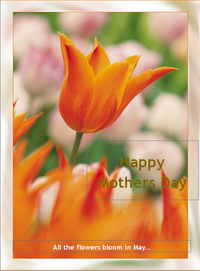 greeting-card-in-publisher-2010.jpg