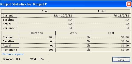 ProjectStatistics-project2010.jpg
