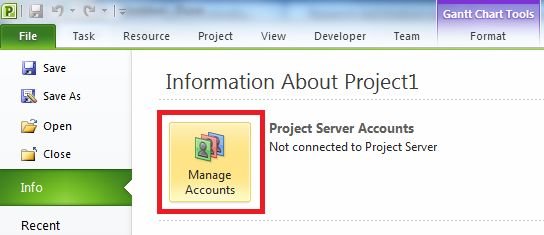 manage-account-in-project 2010.jpg