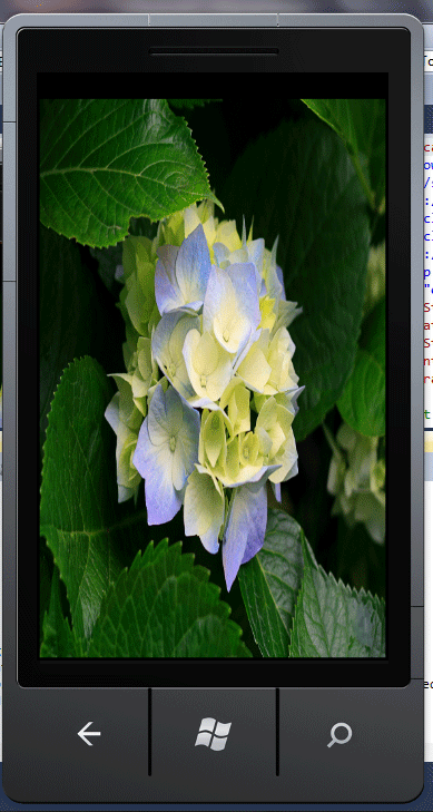 Background set using Image Brush in Windows Phone 7.gif